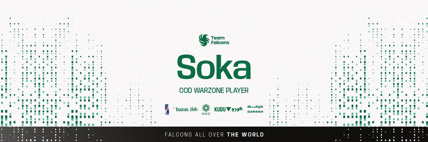 Falcons Soka's banner