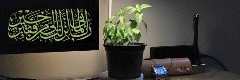 •المنذر•'s banner