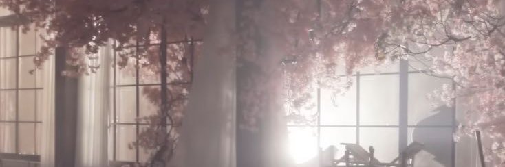 𝒎𝑜𝒐𝑛𝒑𝑖𝒆⁸ - ˋˏ ༻❁༺ ˎˊ- (semi ia)'s banner
