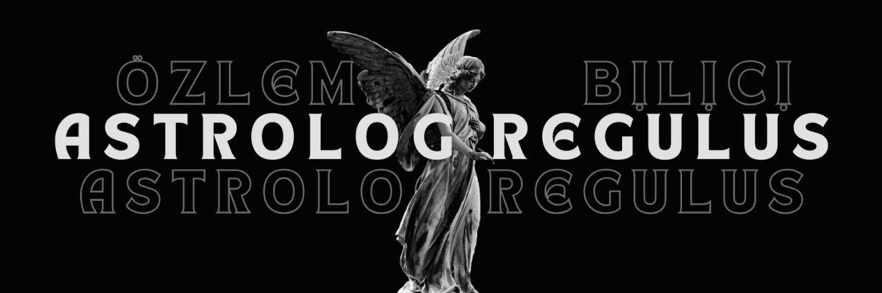 ASTROLOG REGULUS's banner