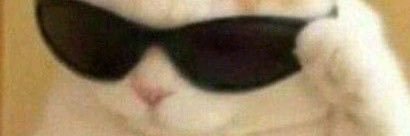 xae🌵's banner