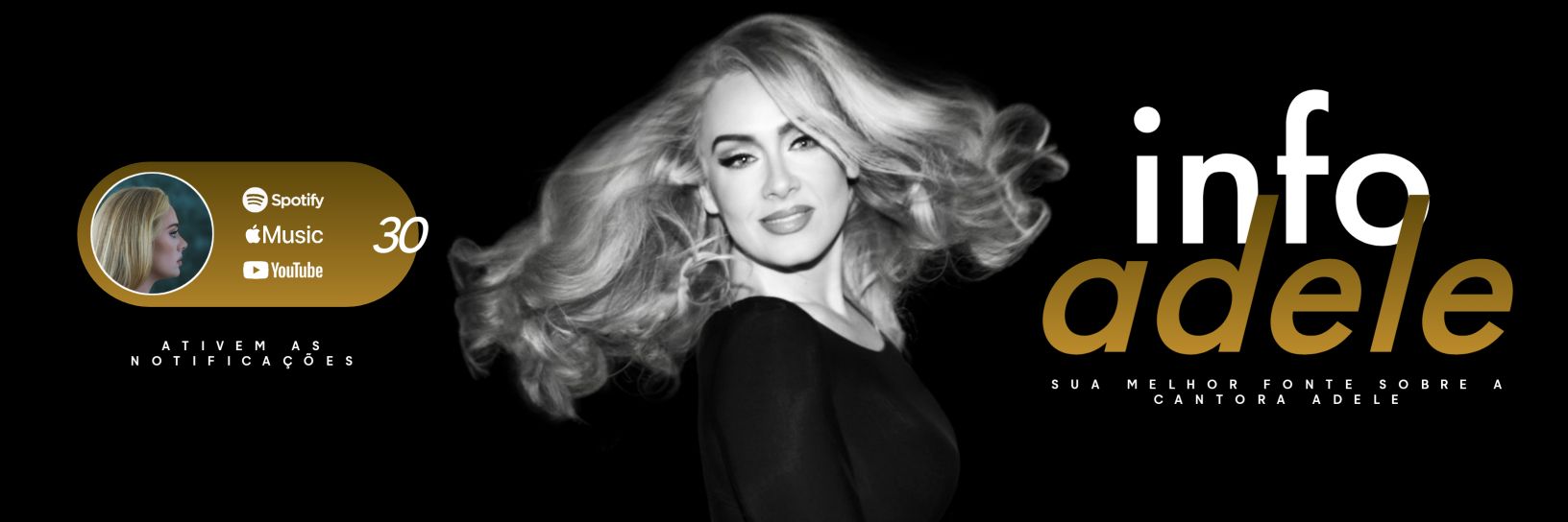 Info Adele's banner