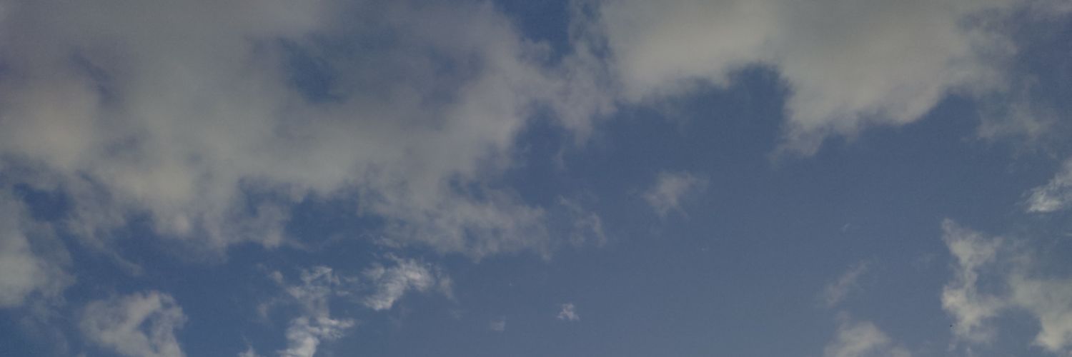 ⁺˖°ʚ pedro ɞ°⁺˖'s banner