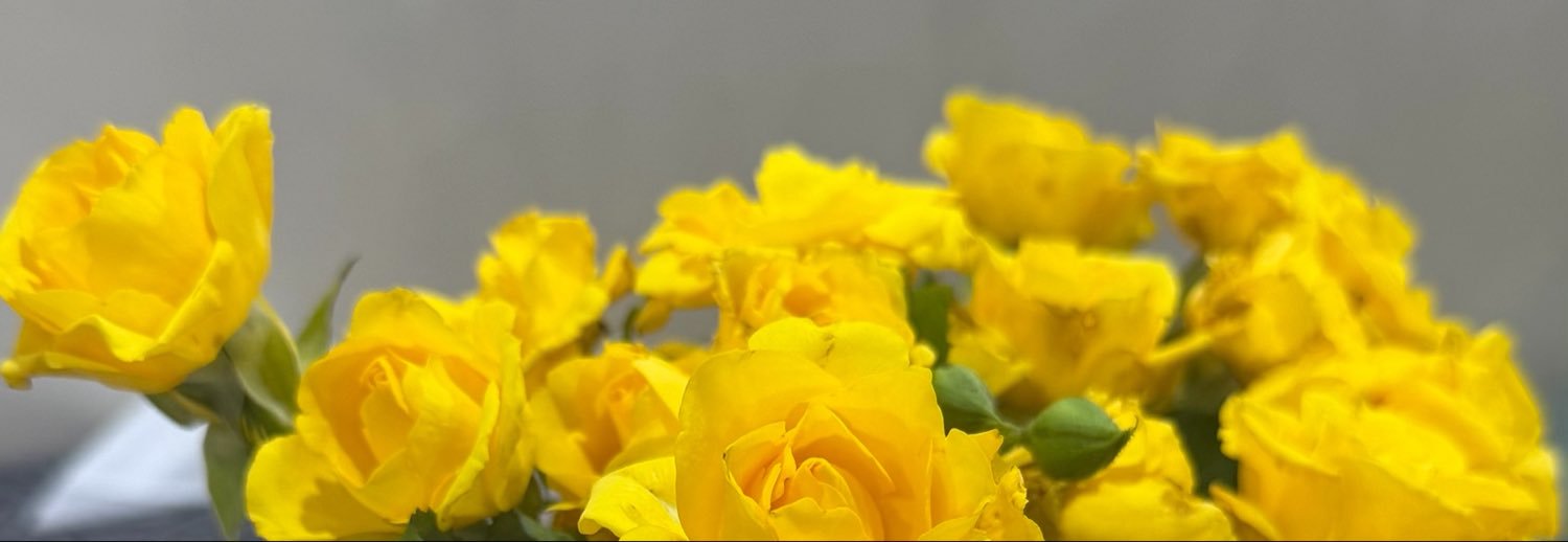 S.N.B🌼's banner