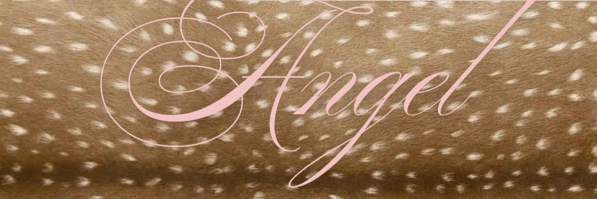 triz๑'s banner