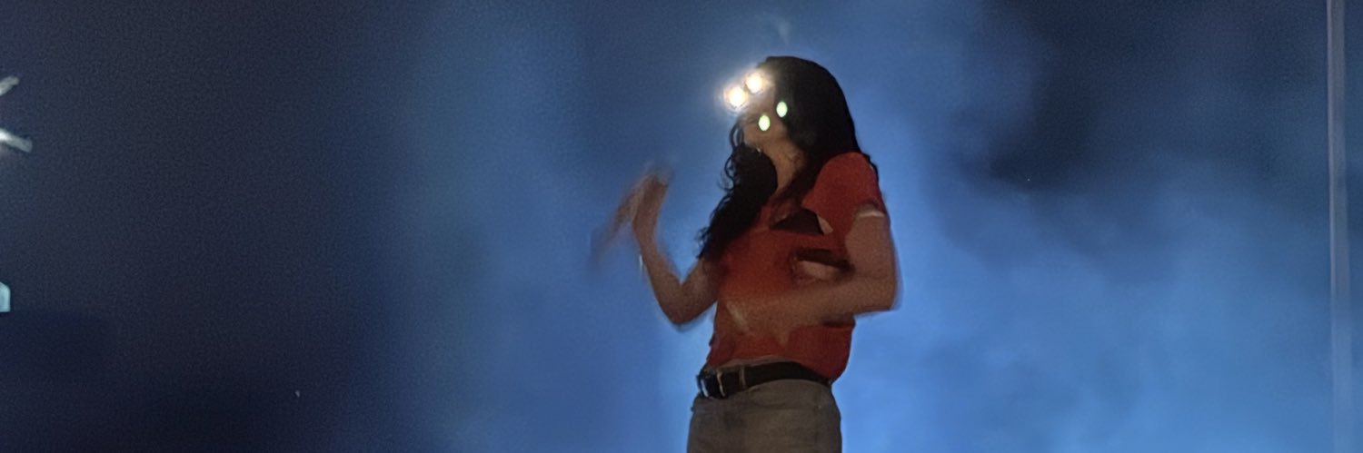 lorde stan account's banner