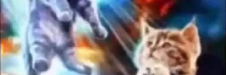 Maestre Mapaxito's banner