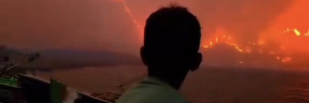 𝕸𝖚𝖘𝖙𝖆𝖕𝖍𝖆 𝔻ℤ19's banner