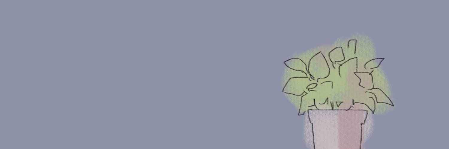 こむぎ🕊️'s banner