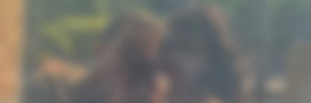 kevin's banner