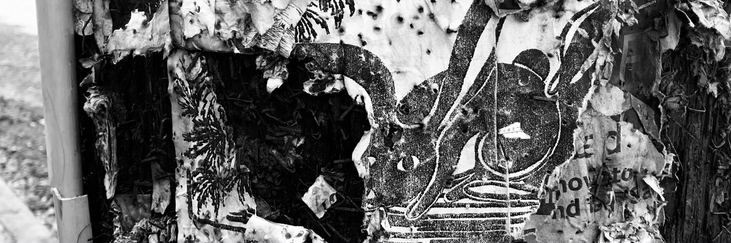 soleli ☼'s banner