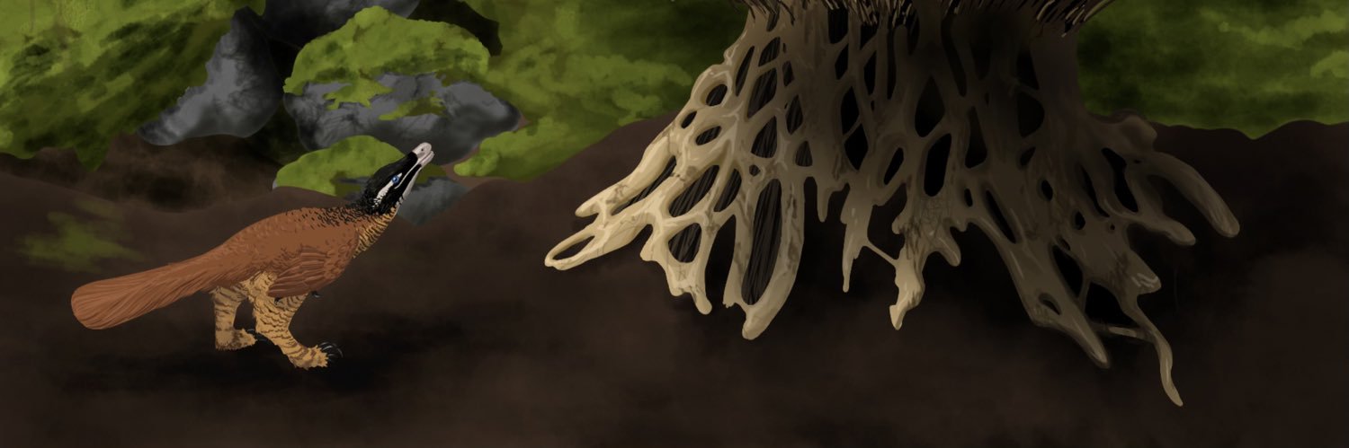 Hetli's banner