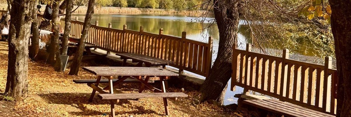 Hatice 🧚's banner