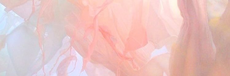 𝑷𝒚𝒐𝒌𝒐🐇's banner