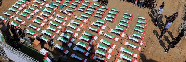 محمد الوليدي's banner