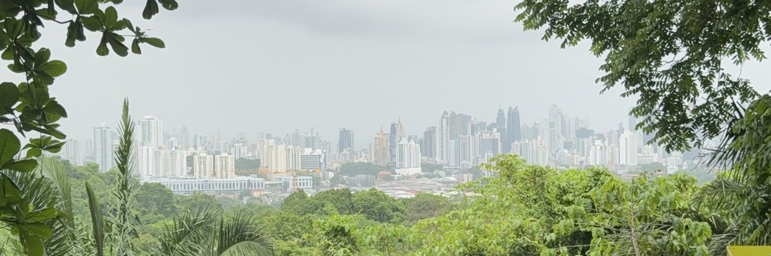 ª đ ř φ ª ŋ 🇵🇦's banner