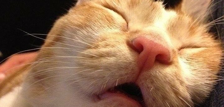 pitsapay_🍎⭐️'s banner