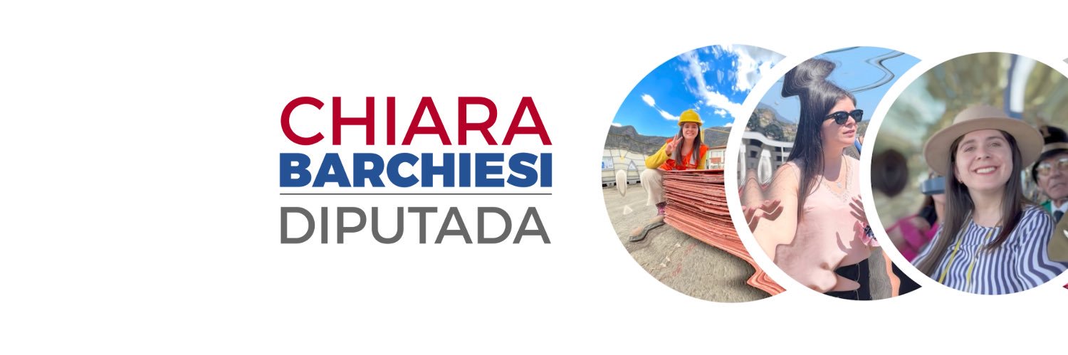 Diputada Chiara Barchiesi 🇨🇱's banner