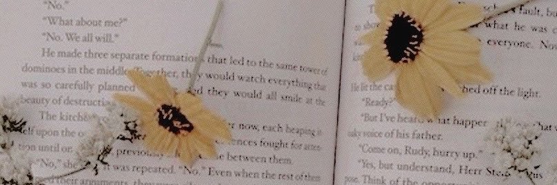 Steffy Grande's banner