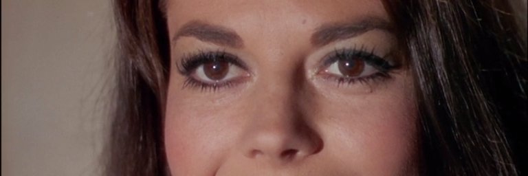 🌴Alva Starr🌴's banner
