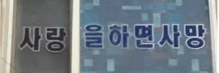 romi's banner