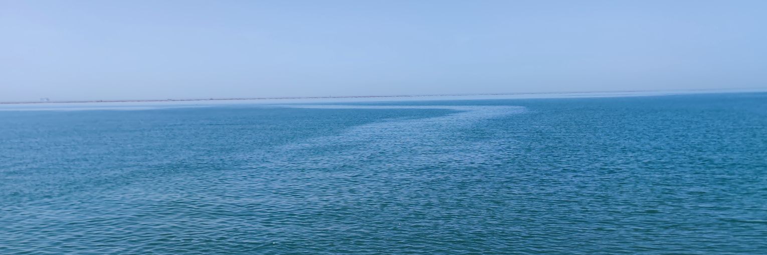 卫子夫's banner