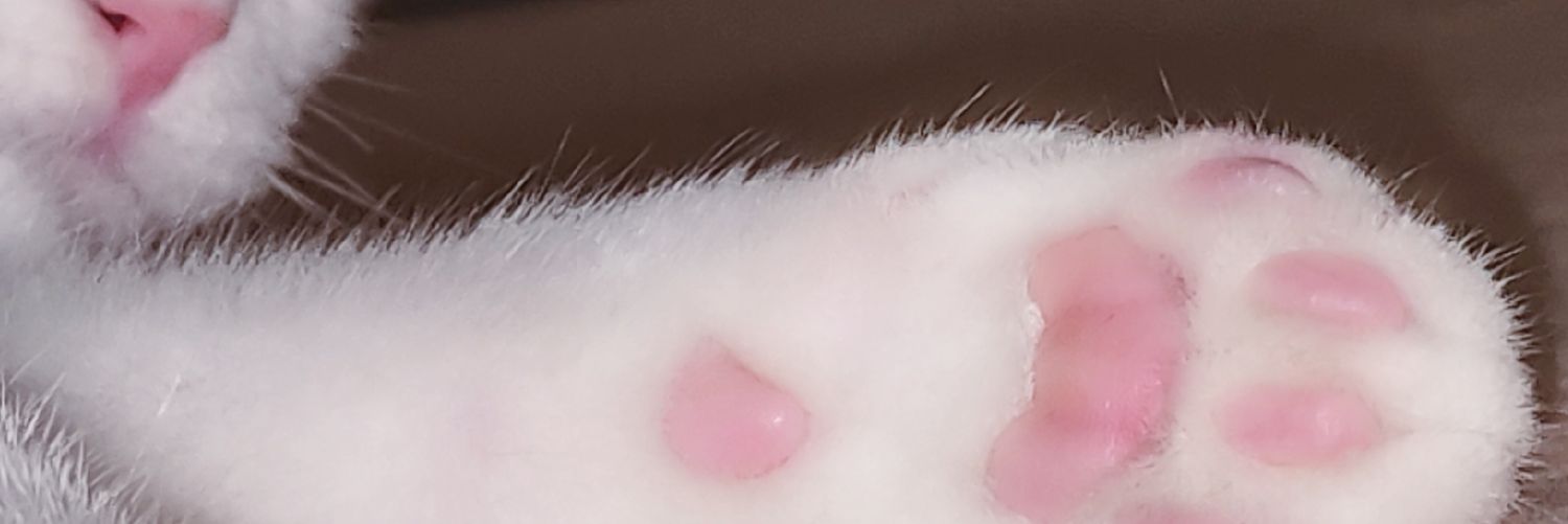 自闭阀门's banner