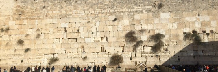 יוסי באום's banner
