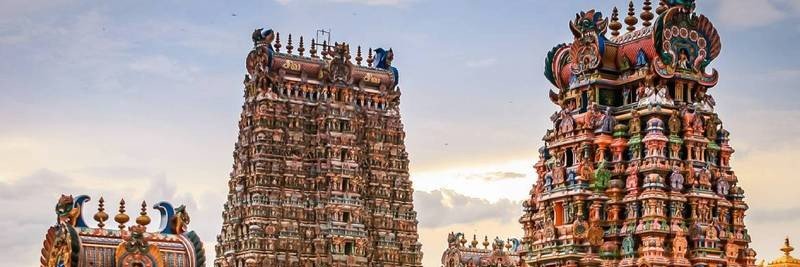 Beauty Of India🇮🇳's banner