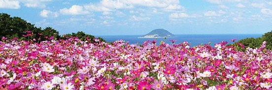 日本共産党福岡県委員会's banner