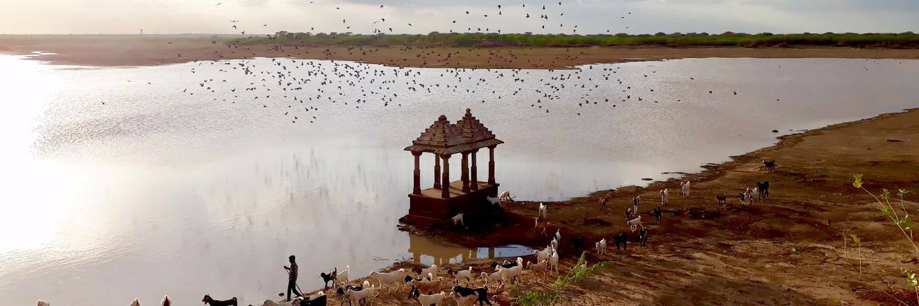 राजस्थानी संस्कृति🐪🧡's banner