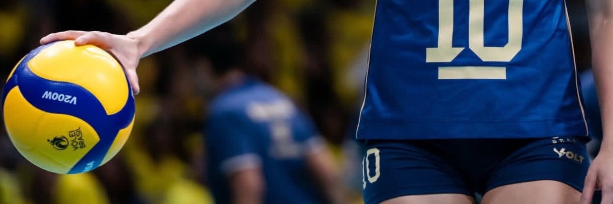 fabi's banner