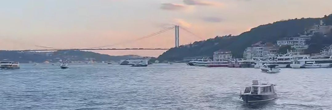 şuledays🍓's banner