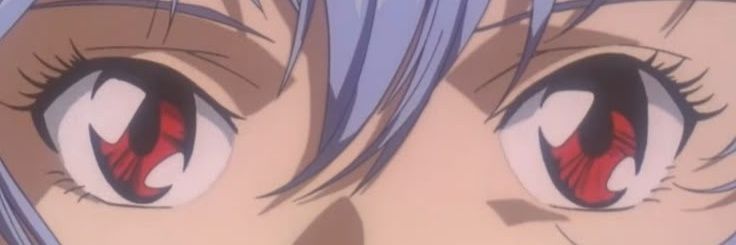 noru's banner