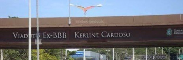 Kerline's banner