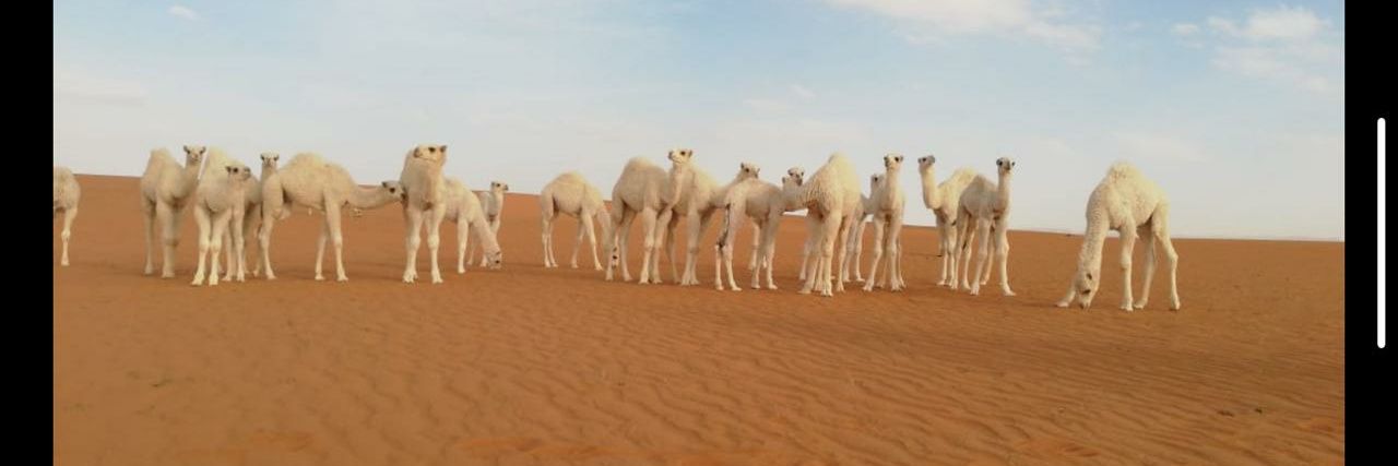 عبدالعزيز بن فارس السويلم's banner