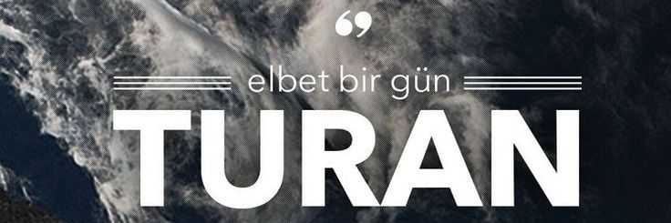 Minsu ☽̶☾🐤's banner