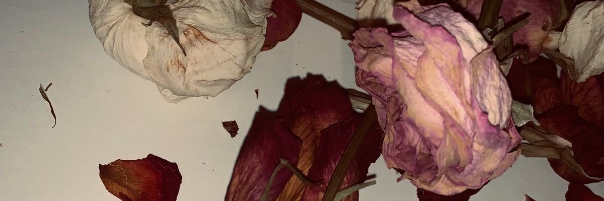 Vale🖤's banner