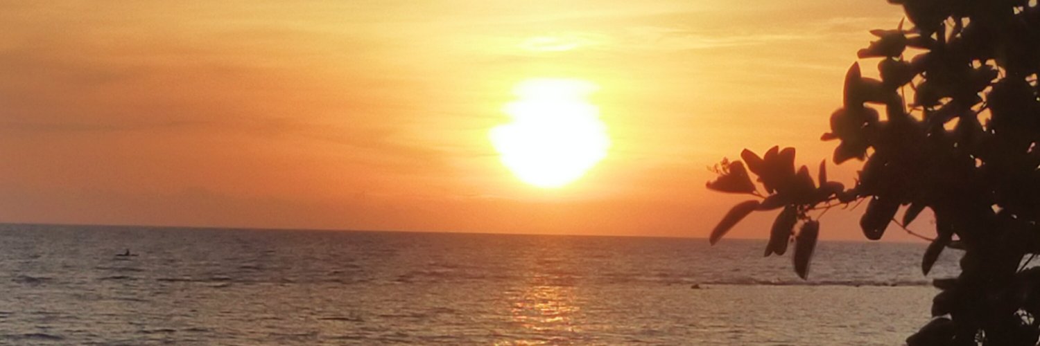я's banner