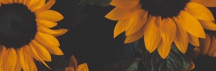 JORINJA's banner