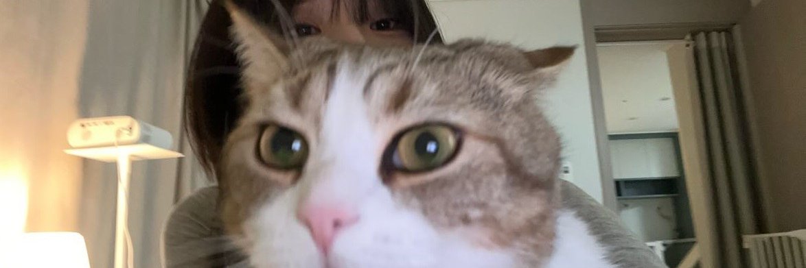 냥집사's banner