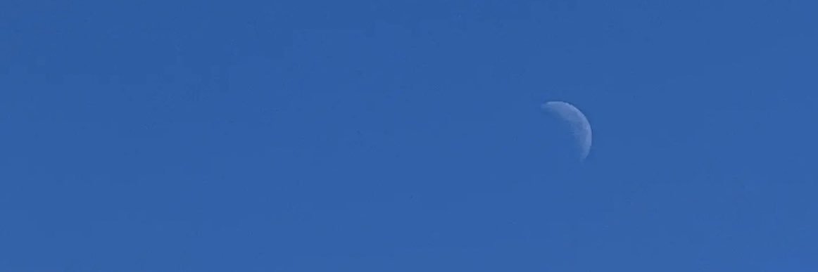 囧静 赖赖赖s's banner