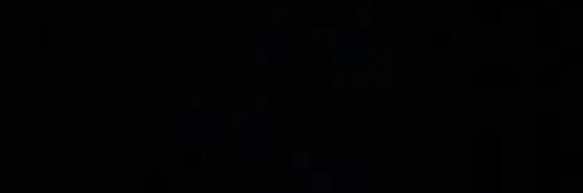 bnb's banner