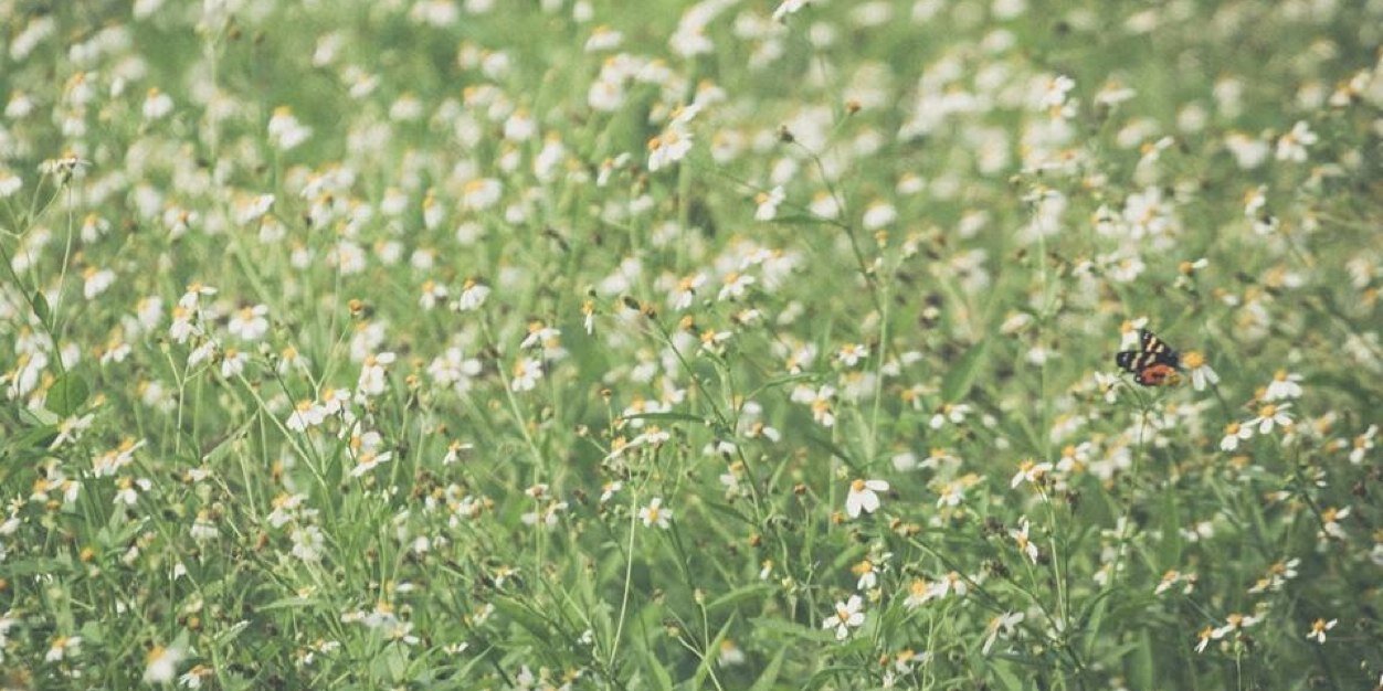 ppploy. * : ))'s banner
