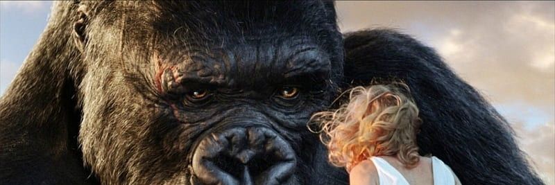 Gabadiya🦍's banner