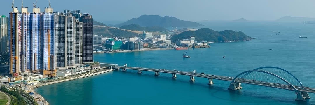 心淡的懶貓🎗🐈‍⬛🥀🌴's banner