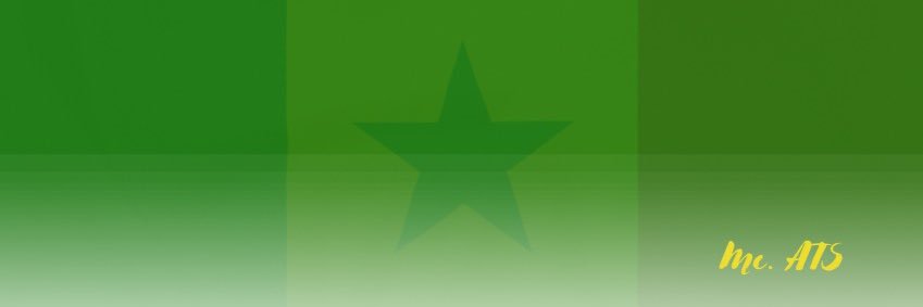 Aïssata Tall Sall's banner