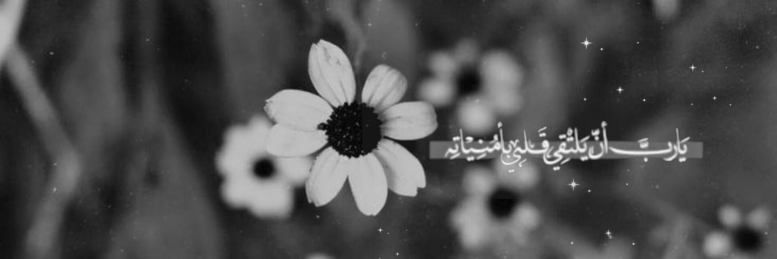 ابـنۨة الۿـدُوُﯘء ❉'s banner