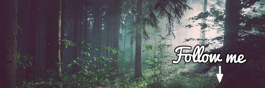 rascal_fuckerr's banner