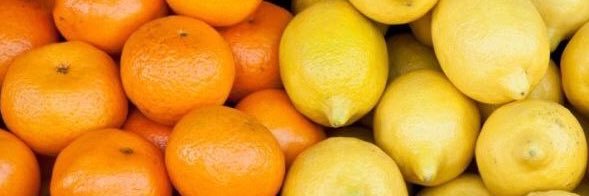 OrangeLemonArt's banner